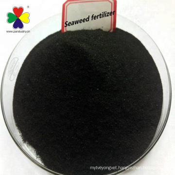 High Quality Bio Organic  Granular Fertilizer Seaweed Fertilizer